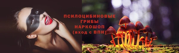 СК Липки