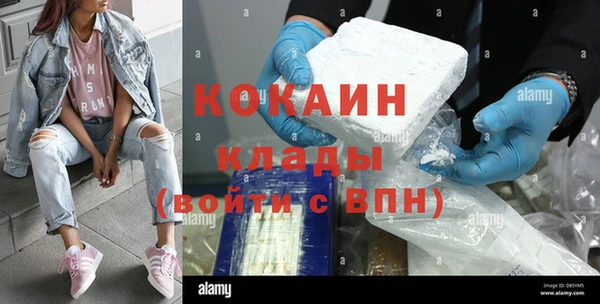 PSILOCYBIN Лихославль