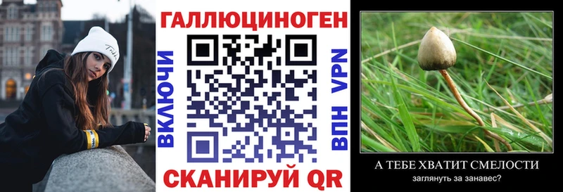 Галлюциногенные грибы GOLDEN TEACHER Иланский