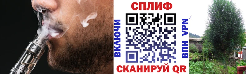 Шишки марихуана планчик  Иланский 